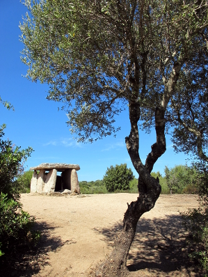 Dolem de Funtanaccia - Periode Neolitique - Corse du Sud